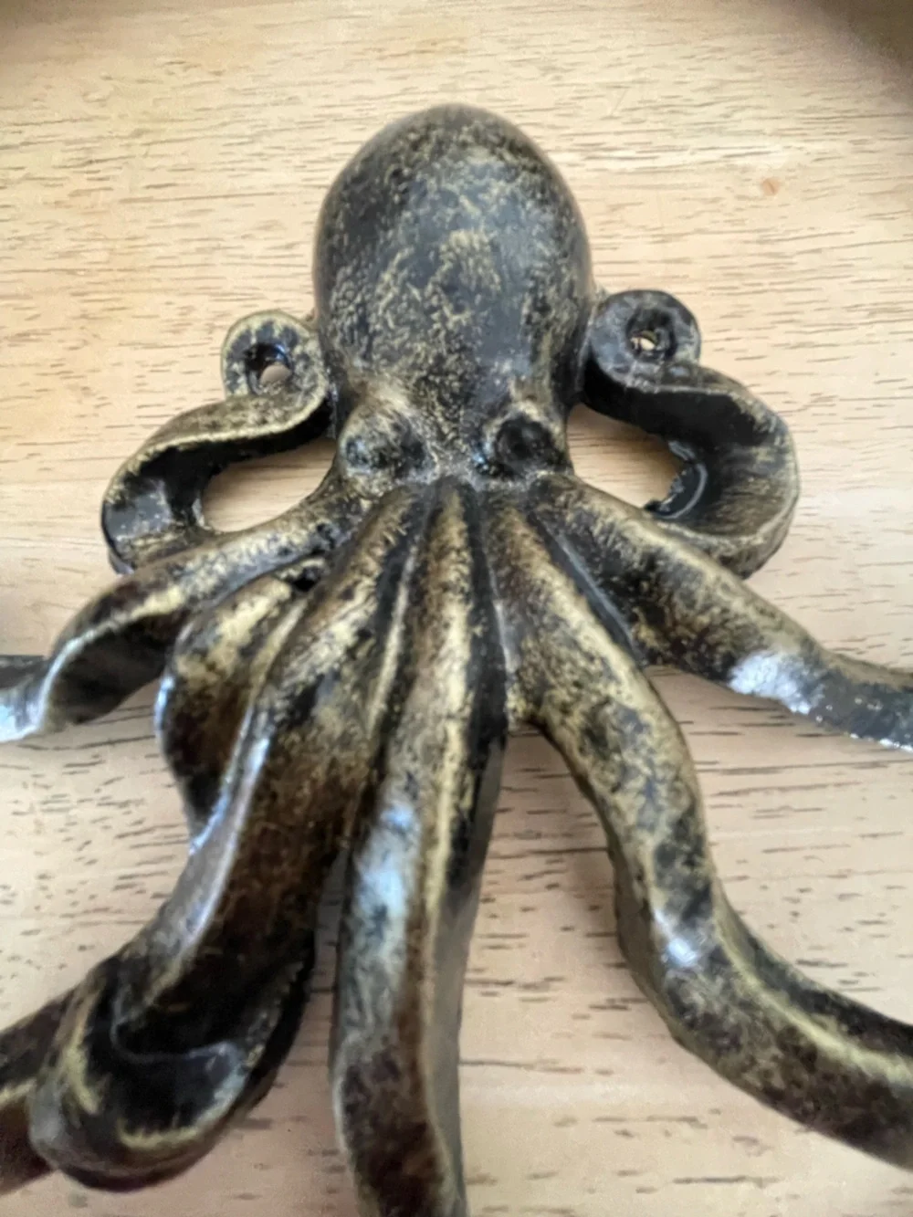 Selections octopus wall